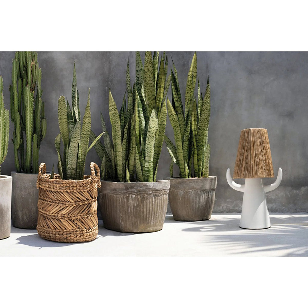 De bananenzigzagmand