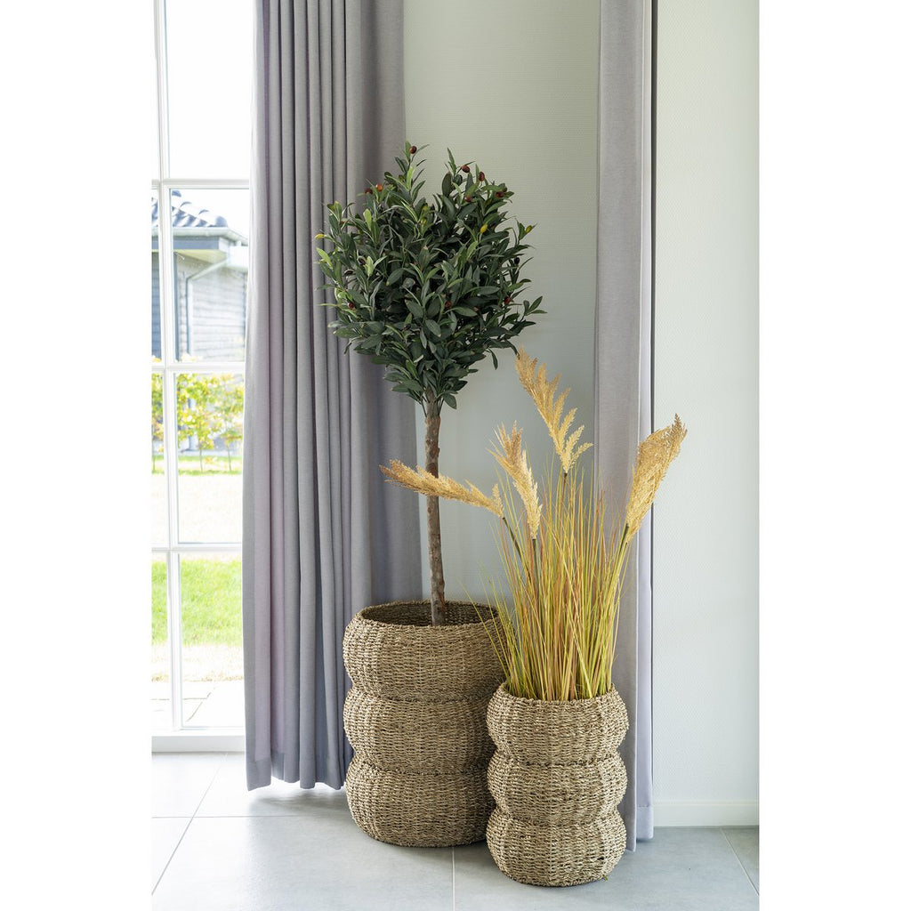 Sarbas-manden - set van 2