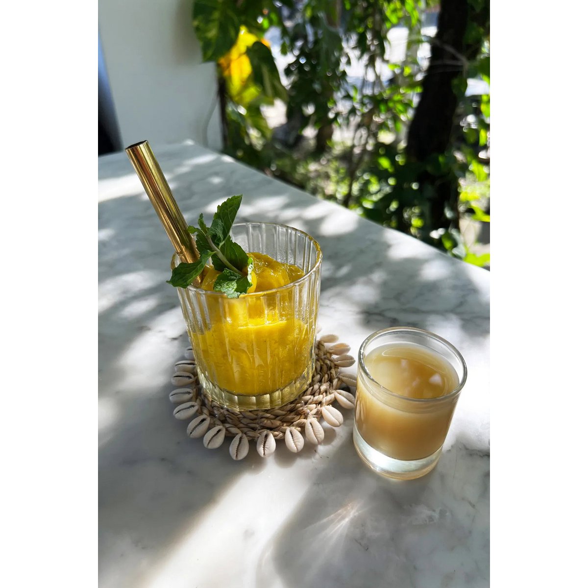 De Seagrass Shell Coaster