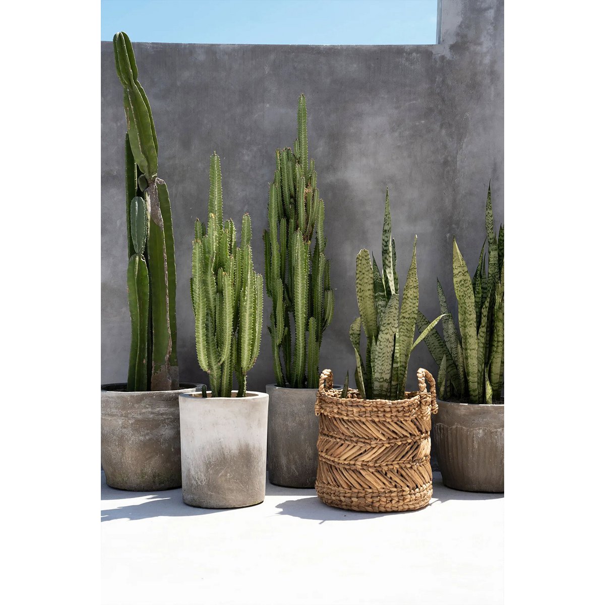 De bananenzigzagmand